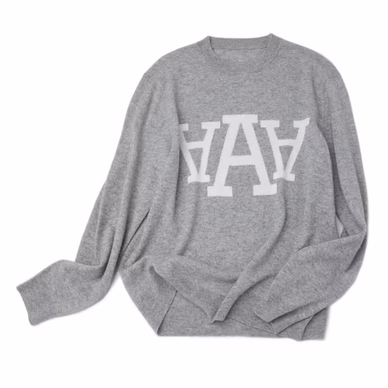 100-300kg/H Wood Pellet Making Machine Rice Husk Sawdust Granulator Biomass Fuel Pellets Mill Machine with CE